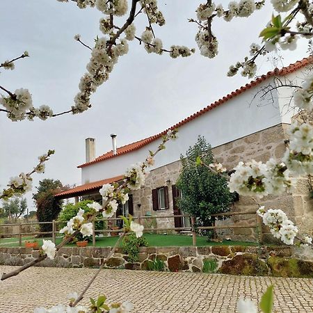 A Casa Do Soito Villa Oliveira do Hospital Exterior photo