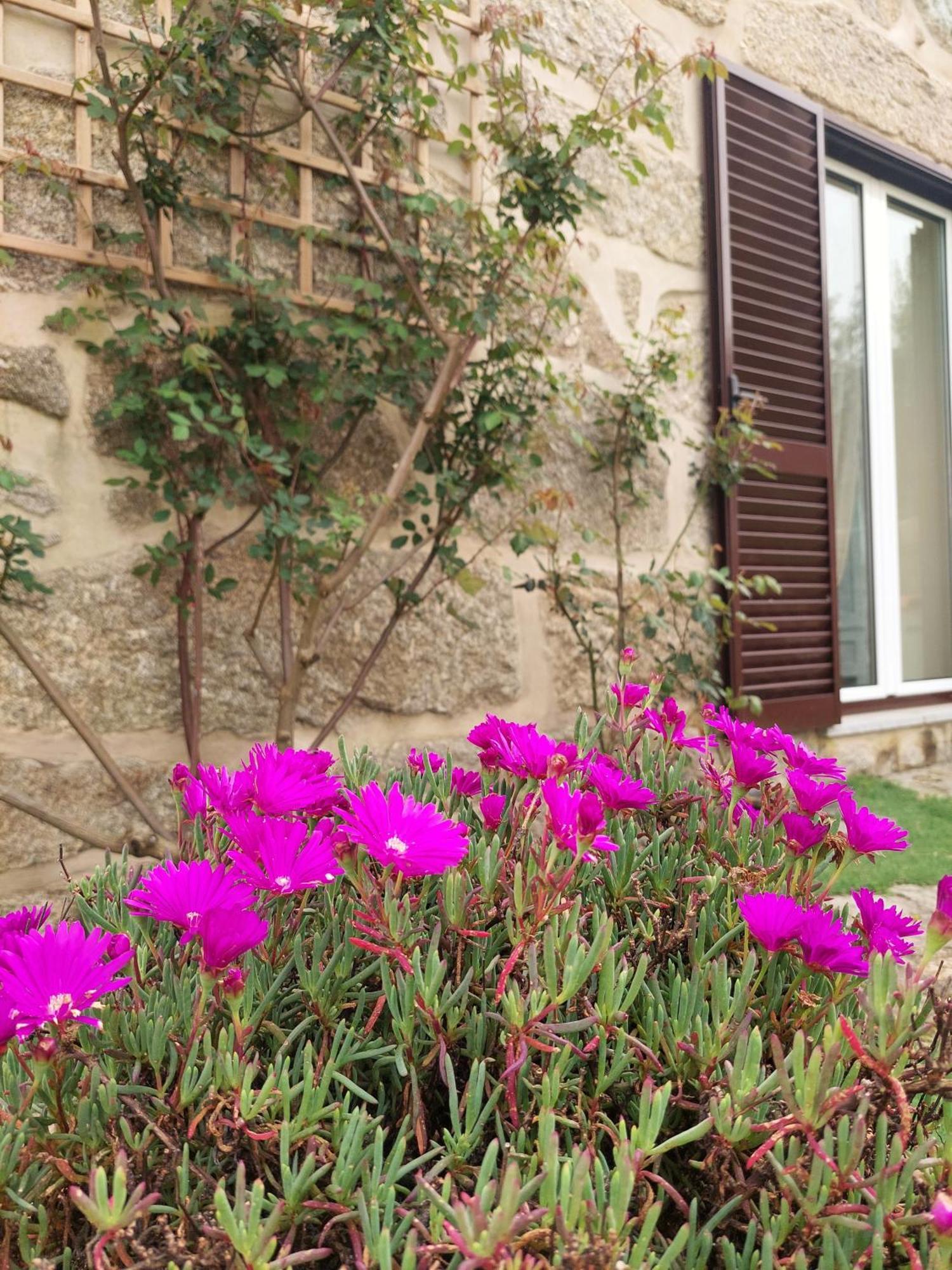 A Casa Do Soito Villa Oliveira do Hospital Exterior photo